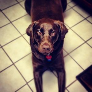 Meet your Posher, Christine